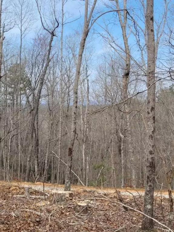 Lot 3 Etowah River Estates, Dahlonega, GA 30533