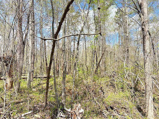 Dahlonega, GA 30533,6242 Thompson Bridge RD