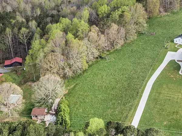 353 Newt Green RD, Ball Ground, GA 30028