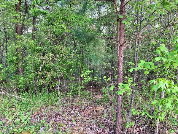 Dahlonega, GA 30533,0 Quartz WAY