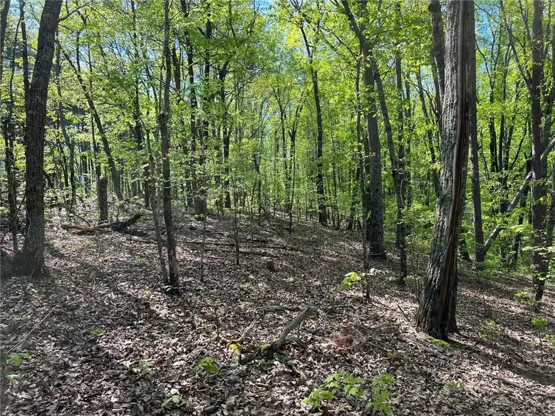 0 Bagwell TRL, Waleska, GA 30183