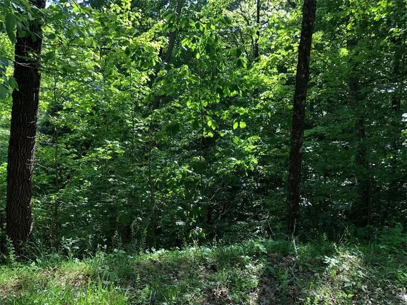 332 Palidin DR, Ranger, GA 30734