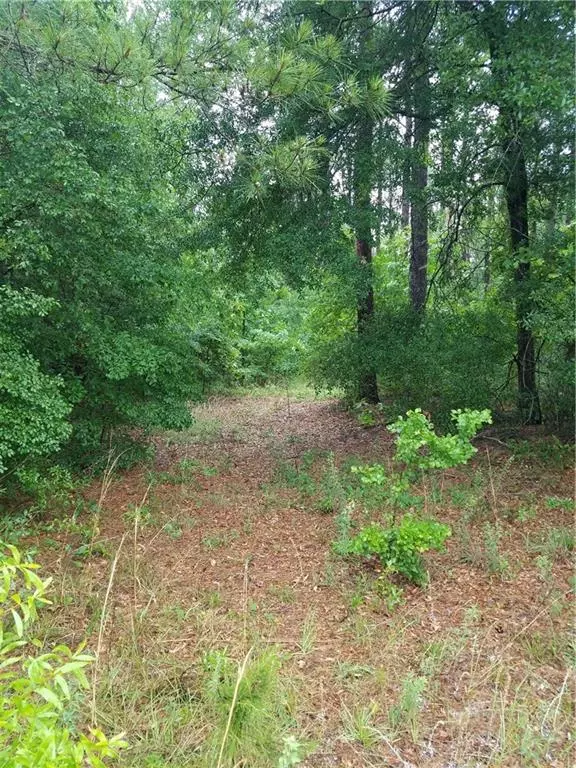 Georgetown, GA 39854,Lot 8 Cotton Cove Drum