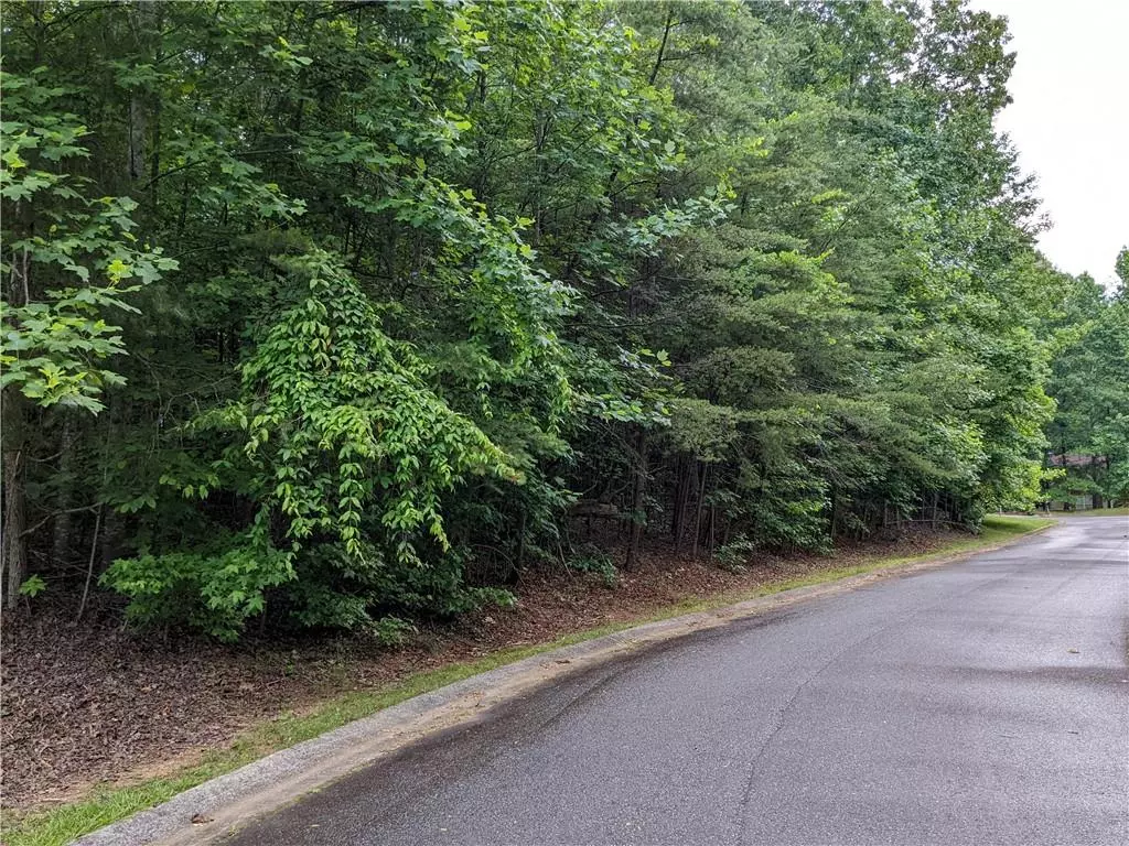 Dahlonega, GA 30533,0 Bearslide PATH