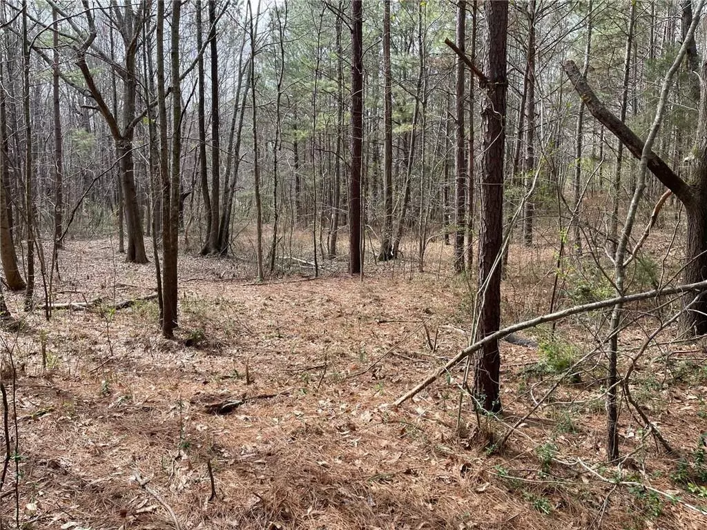 Canton, GA 30115,650 Avery RD