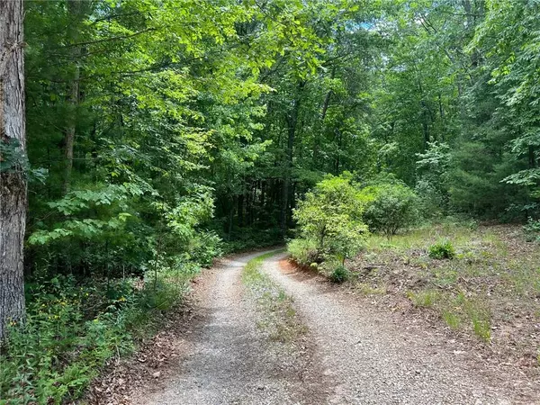 Dawsonville, GA 30534,0 Lot 8 Elm Ln