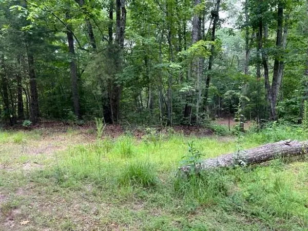 Dawsonville, GA 30534,Lot 8 3.38 Acres Elm Ln