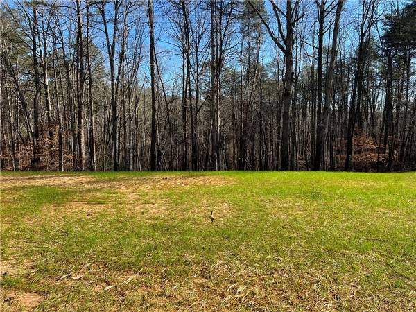 Lot 7 Mineral Springs RD, Ball Ground, GA 30107