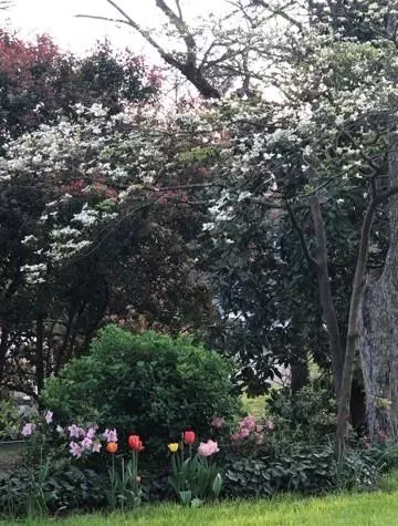 Dallas, GA 30132,105 Glenn St