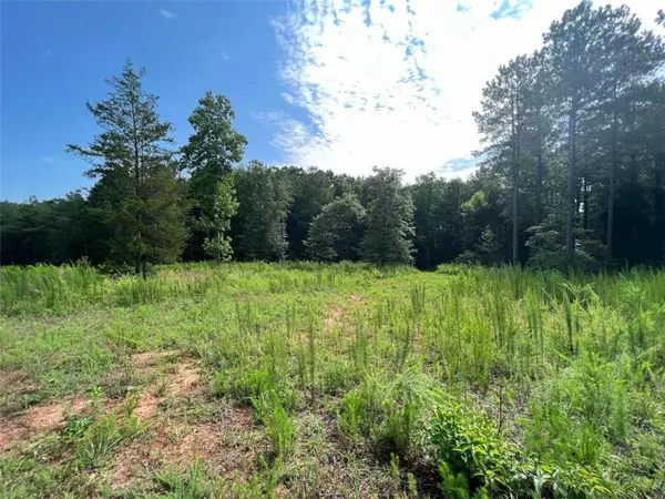 Commerce, GA 30529,0 Horseshoe Trl, Lot 4A