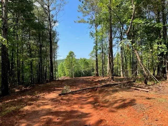 Lot 6 Big Ridge Road, Talking Rock, GA 30175