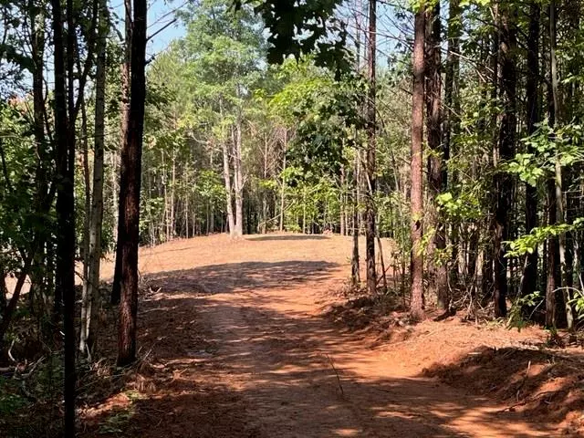 Lot 4 Big Ridge Road, Talking Rock, GA 30175