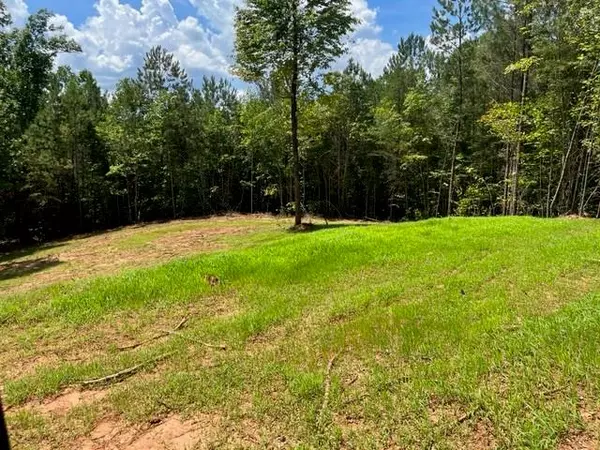 Talking Rock, GA 30175,Lot 1 Big Ridge Road