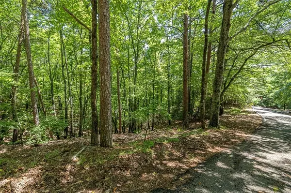 Big Canoe, GA 30143,1118 Wrens Nest