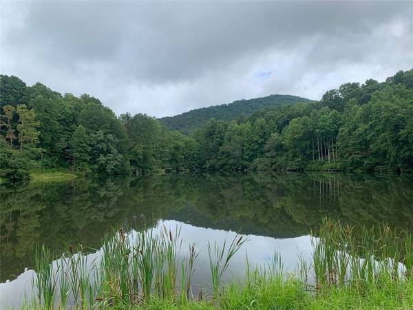 0 Spring Lake TRL, Ellijay, GA 30536