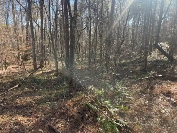 Cumming, GA 30028,0 Wallace Tatum RD