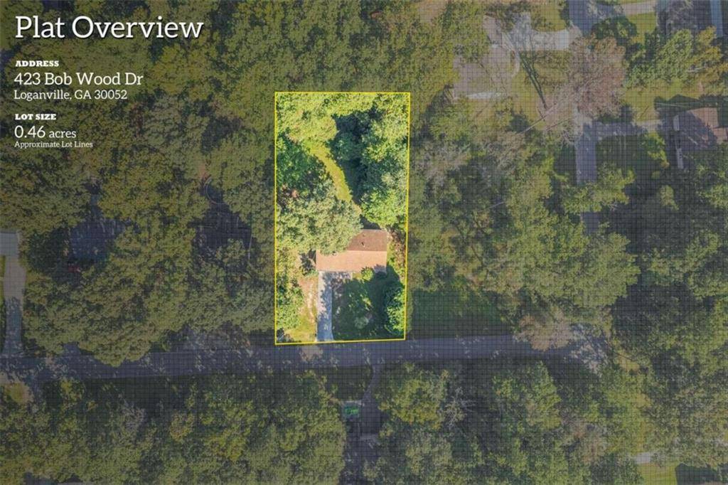 Loganville, GA 30052,423 Bob Wood DR