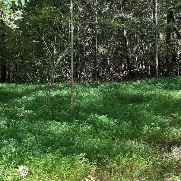 Cumming, GA 30041,2218 Carter DR