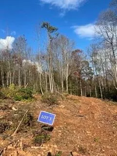 Commerce, GA 30530,Lot 3 Kathryn LN