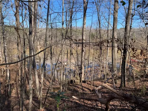 Dawsonville, GA 30534,Lot 9 Toto Creek DR W