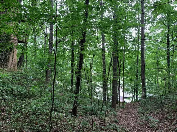 Dawsonville, GA 30534,Lot 9 Toto Creek DR W
