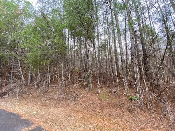 Ellijay, GA 30536,Lot 18 East Ridge LN