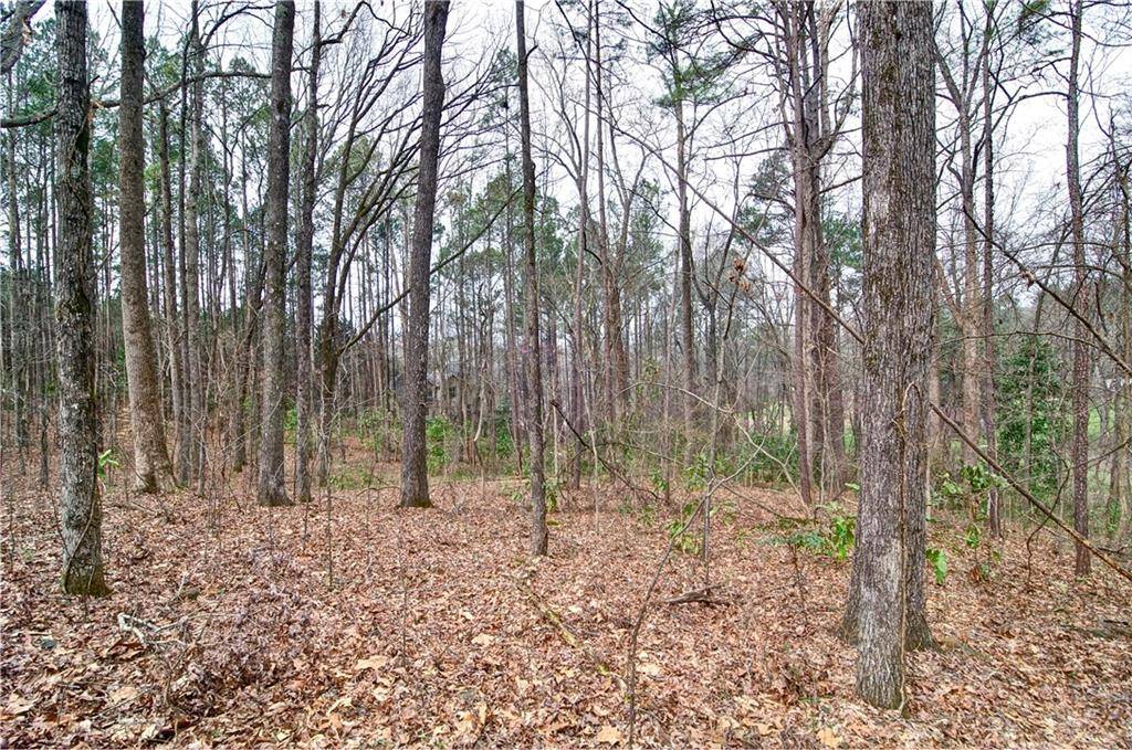 363 Greycoat BLF, Marietta, GA 30064