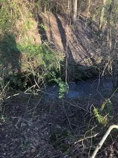 Dahlonega, GA 30533,Lot 1 Still Rd