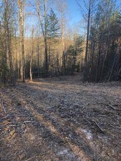 Lot 1 Still Rd, Dahlonega, GA 30533