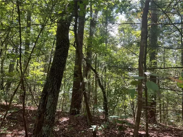 Talking Rock, GA 30175,11 Meadowlands DR