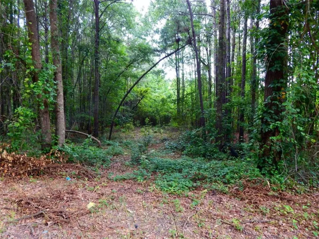 Griffin, GA 30223,912 Minter RD