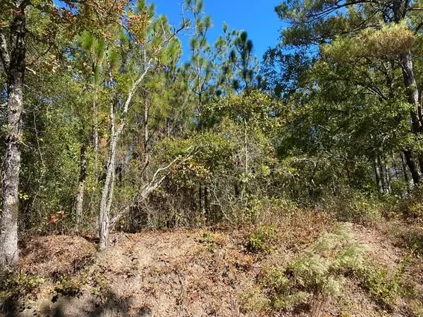 7429 Fullbright RD, Appling, GA 30802