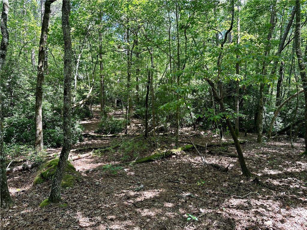 Dahlonega, GA 30533,400 Etula DR