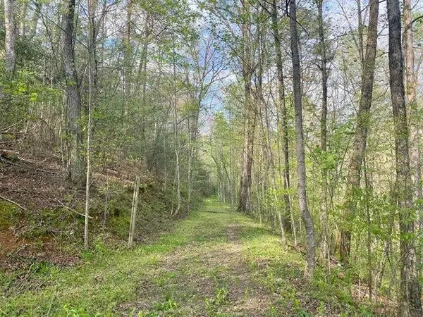 East Ellijay, GA 30540,38+AC Ridgehaven TRL