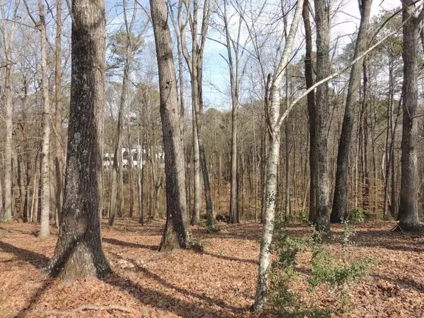 Johns Creek, GA 30097,120 Wood River CT