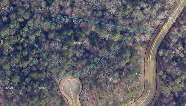 Lot 38 Spy CT, Clarkesville, GA 30523