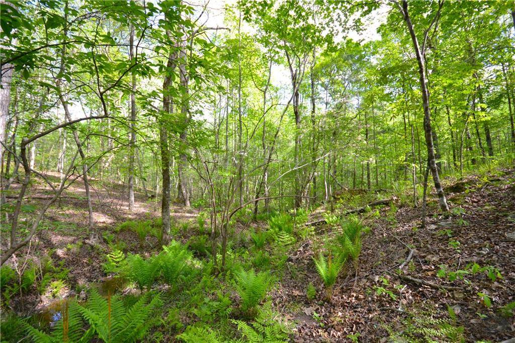 Buchanan, GA 30113,00001 Spence Road RD