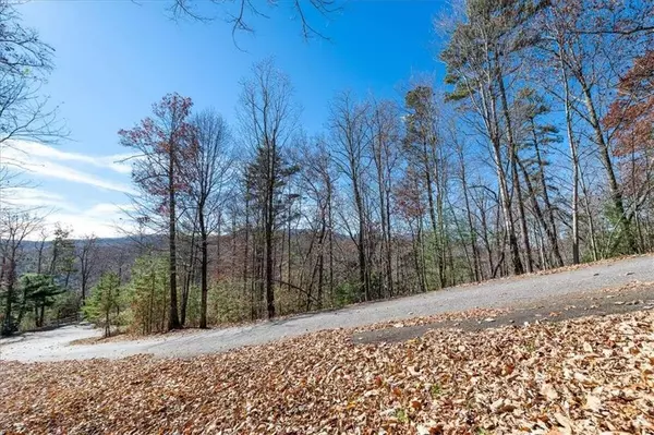 Blue Ridge, GA 30513,LT 14 Falling Rock RD