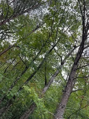 Clarkesville, GA 30523,00 Fox Valley RD