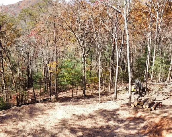 Blue Ridge, GA 30513,9663 Doublehead Gap RD