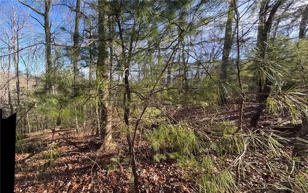 Talking Rock, GA 30175,20 Meadowlands DR