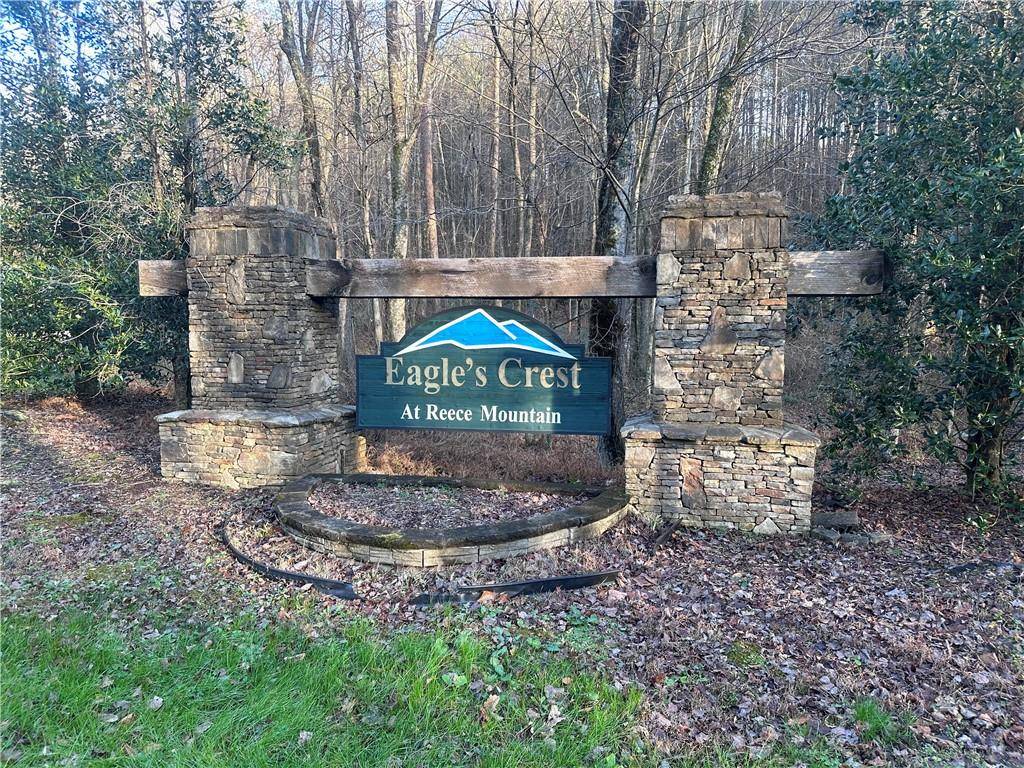 Ellijay, GA 30536,0 Reece Mountain RD