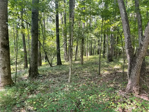 Flowery Branch, GA 30542,7249 Spout Springs RD