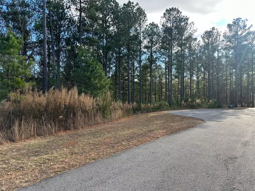 Blairsville, GA 30512,Lot268 Thirteen Hundred