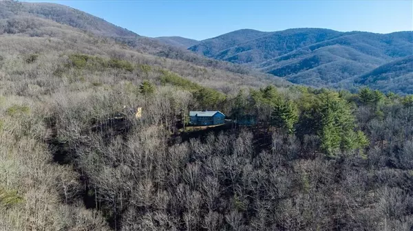 345 Pig Trl, Cherry Log, GA 30522