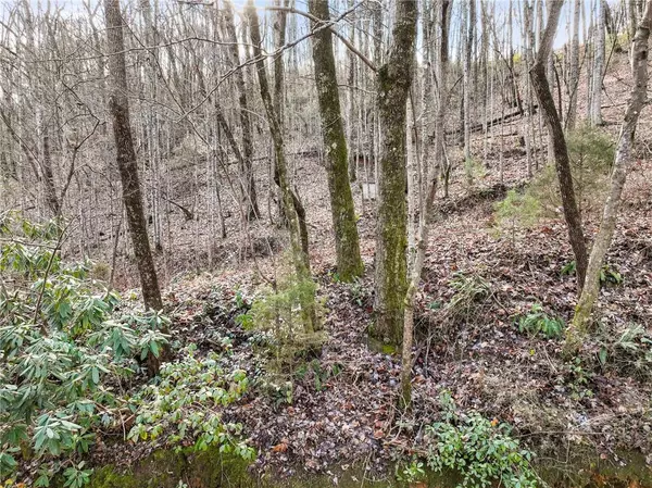 Clarkesville, GA 30523,0 Goshen Mountain RD