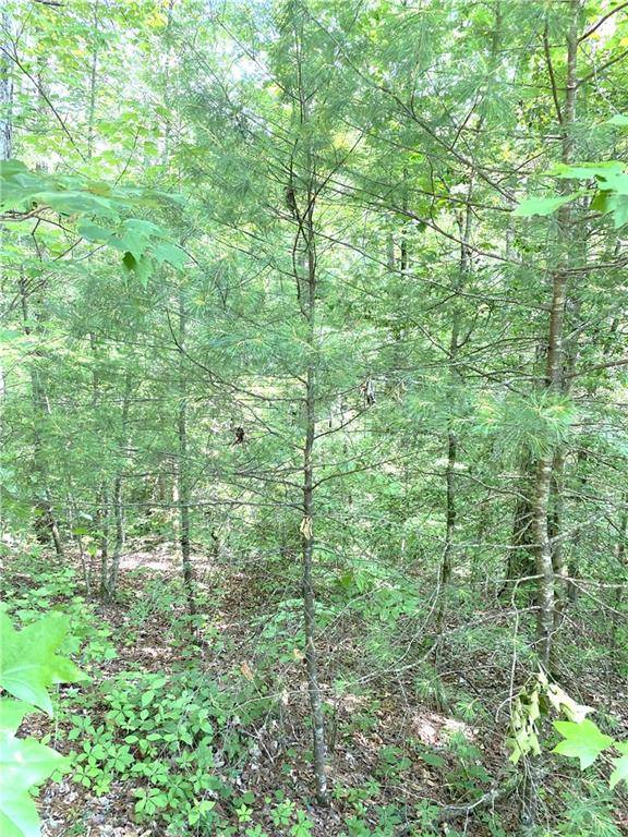 L30 Amelia DR, Ellijay, GA 30540