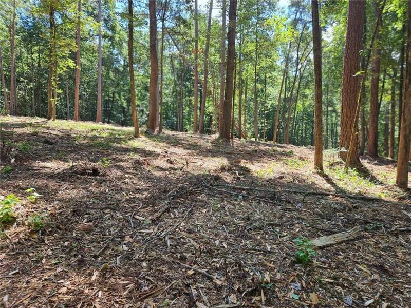 00 Whitetail Ridge Tract 2, Dawsonville, GA 30534