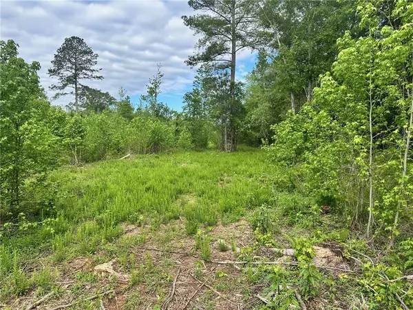 Taylorsville, GA 30178,00 Satcher Road