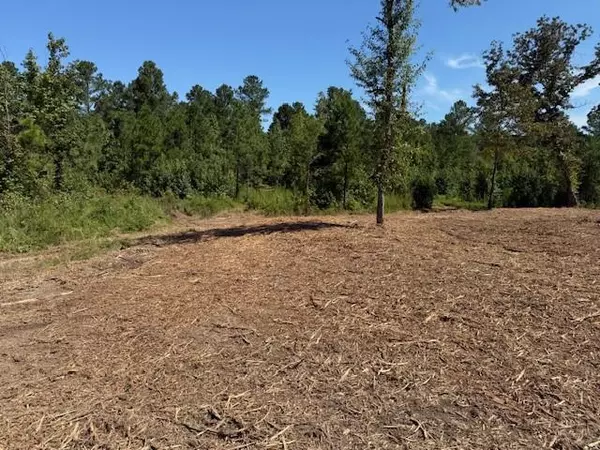 Taylorsville, GA 30178,00 Satcher Road